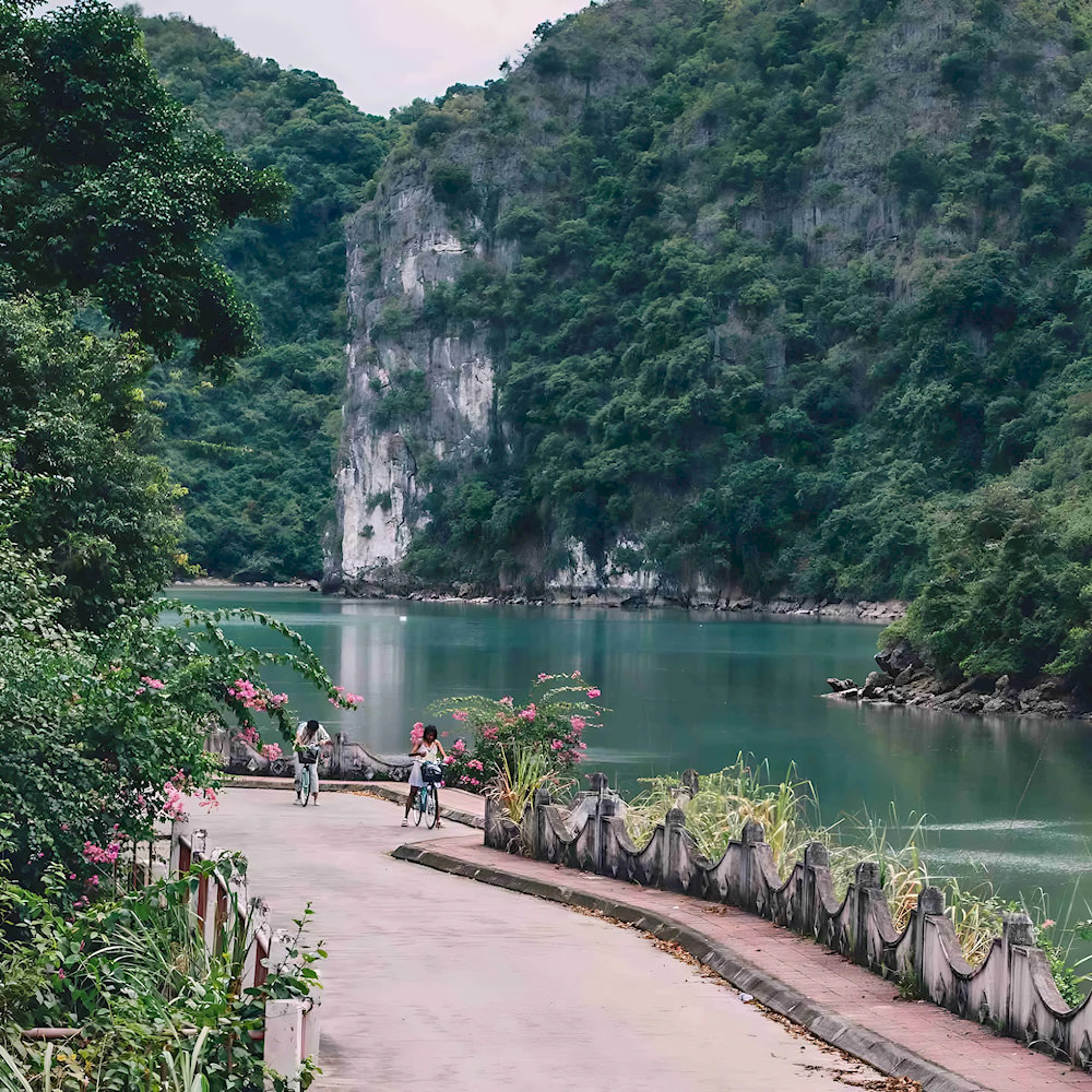 Visitors here can leisurely walk or rent bicycles to explore around the village 